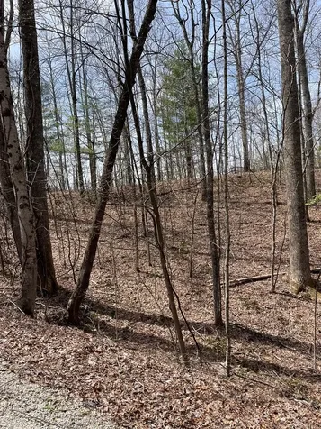 00 Hidden Lakes Topton NC 28781
