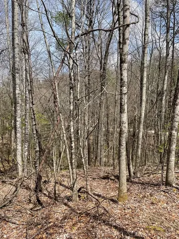 00 Hidden Lakes Topton NC 28781