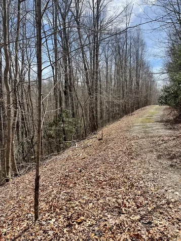 00 Hidden Lakes Topton NC 28781