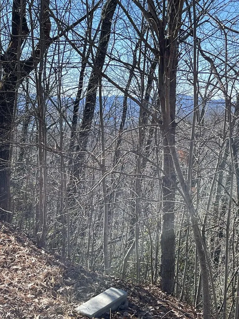 Lot 29j Ash Branch Road, Hayesville NC 28904