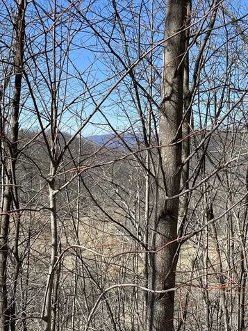 Lot 29j Ash Branch Road, Hayesville NC 28904
