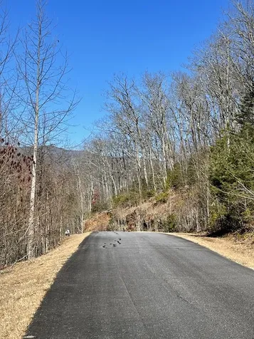 Lot 29j Ash Branch Road, Hayesville NC 28904