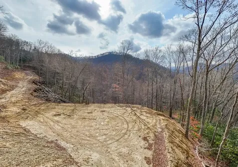 Lot 20 Walnut Cove Branch Robbinsville NC 28771