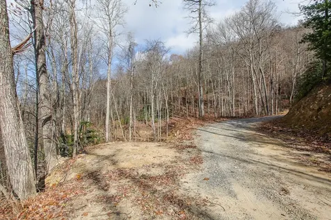 Lot 20 Walnut Cove Branch Robbinsville NC 28771