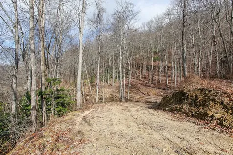 Lot 20 Walnut Cove Branch Robbinsville NC 28771