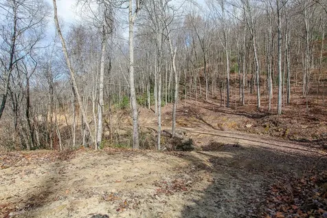 Lot 20 Walnut Cove Branch Robbinsville NC 28771