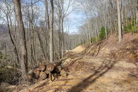 Lot 20 Walnut Cove Branch Robbinsville NC 28771