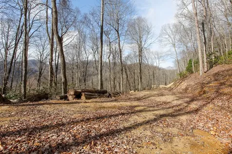 Lot 20 Walnut Cove Branch Robbinsville NC 28771