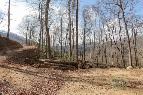 Lot 20 Walnut Cove Branch Robbinsville NC 28771