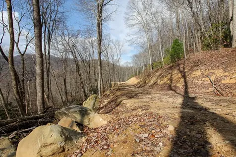 Lot 20 Walnut Cove Branch Robbinsville NC 28771