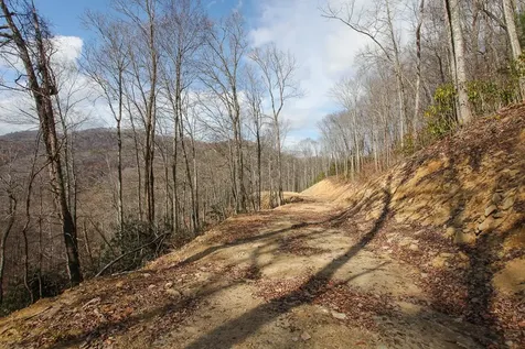 Lot 20 Walnut Cove Branch Robbinsville NC 28771