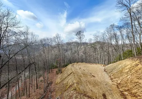 Lot 20 Walnut Cove Branch Robbinsville NC 28771