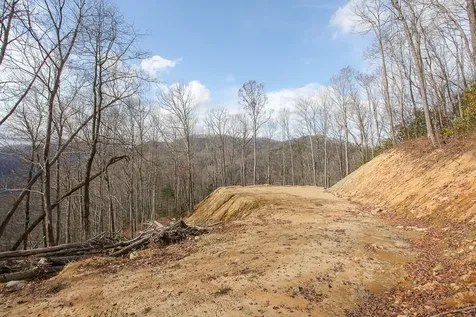 Lot 20 Walnut Cove Branch Robbinsville NC 28771