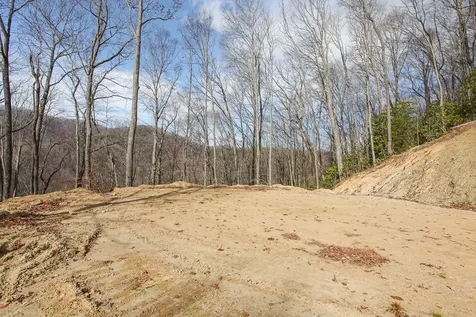 Lot 20 Walnut Cove Branch Robbinsville NC 28771