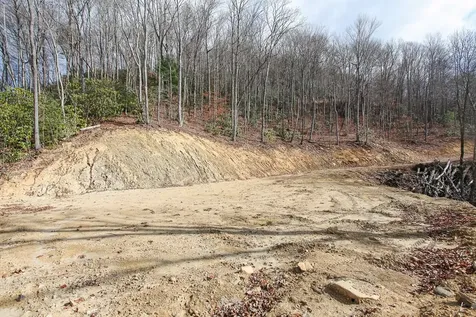 Lot 20 Walnut Cove Branch Robbinsville NC 28771