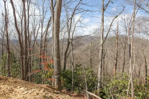 Lot 20 Walnut Cove Branch Robbinsville NC 28771