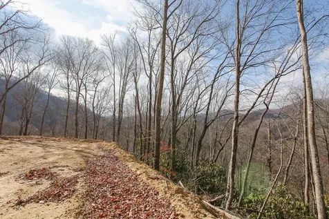 Lot 20 Walnut Cove Branch Robbinsville NC 28771
