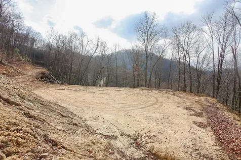Lot 20 Walnut Cove Branch Robbinsville NC 28771
