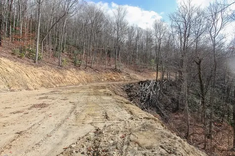 Lot 20 Walnut Cove Branch Robbinsville NC 28771