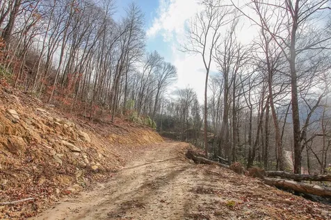 Lot 20 Walnut Cove Branch Robbinsville NC 28771