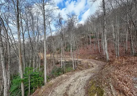 Lot 20 Walnut Cove Branch Robbinsville NC 28771