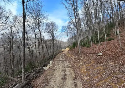 Lot 20 Walnut Cove Branch Robbinsville NC 28771