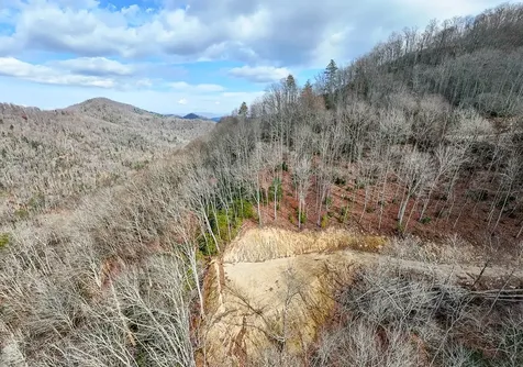 Lot 20 Walnut Cove Branch Robbinsville NC 28771