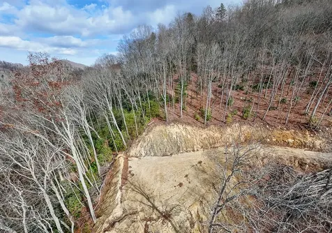 Lot 20 Walnut Cove Branch Robbinsville NC 28771