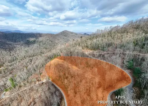 Lot 20 Walnut Cove Branch Robbinsville NC 28771