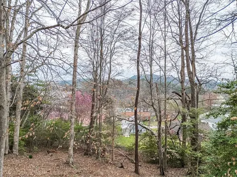 43 Hitchcock Street Murphy NC 28906