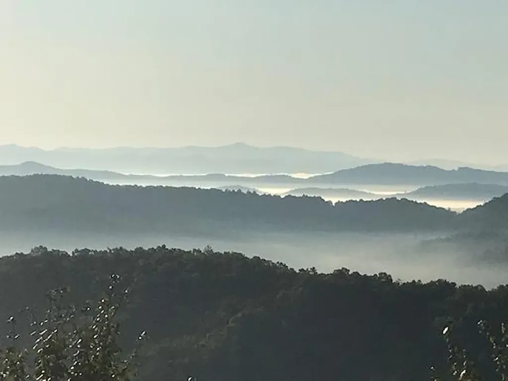 00 Soaring Eagle Murphy NC 28906