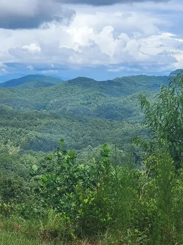 00 Soaring Eagle Murphy NC 28906
