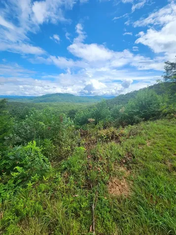 00 Soaring Eagle Murphy NC 28906