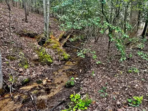 16378 W Us 64 Murphy NC 28906