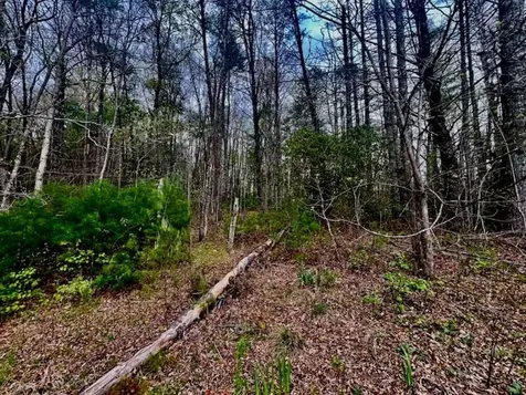 16378 W Us 64 Murphy NC 28906