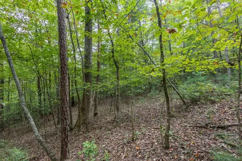 2 Ac Horvath Road Murphy NC 28906