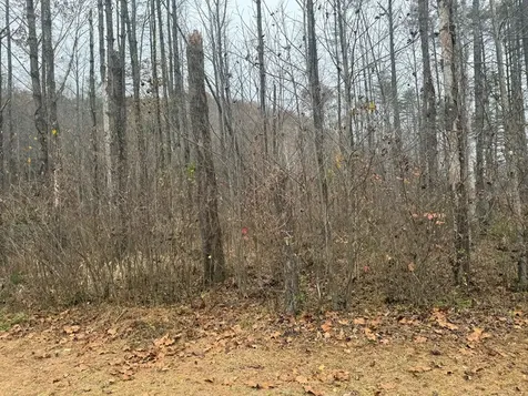 0 Rushing Water Trail Hayesville NC 28904