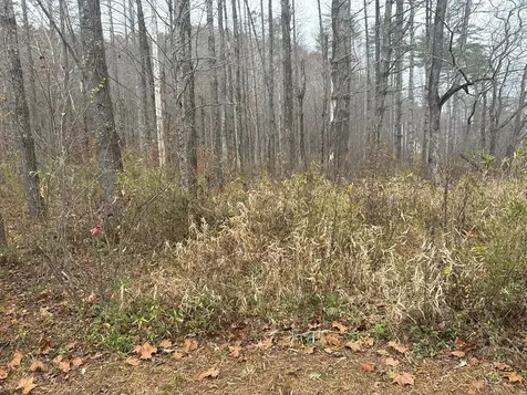 0 Rushing Water Trail Hayesville NC 28904