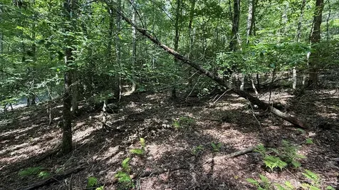 Lot 45 Granite Drive Hayesville NC 28904