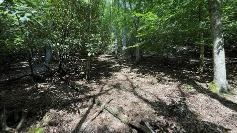 Lot 45 Granite Drive Hayesville NC 28904