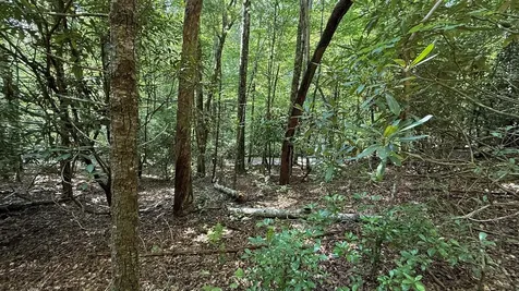 Lot 45 Granite Drive Hayesville NC 28904