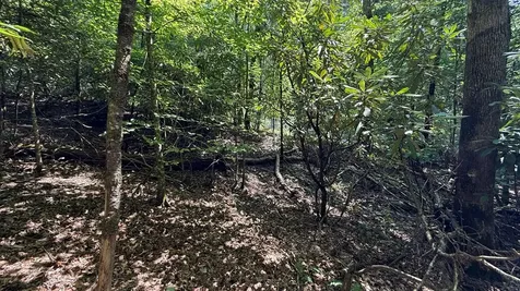 Lot 45 Granite Drive Hayesville NC 28904