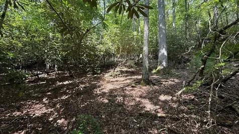 Lot 45 Granite Drive Hayesville NC 28904