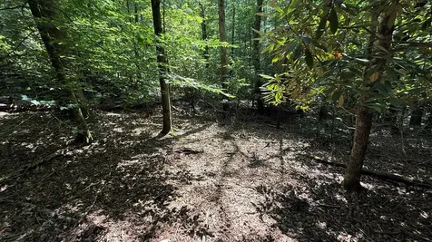 Lot 45 Granite Drive Hayesville NC 28904