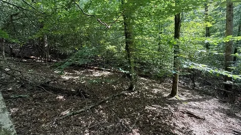 Lot 45 Granite Drive Hayesville NC 28904