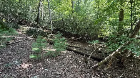 Lot 45 Granite Drive Hayesville NC 28904