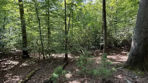 Lot 45 Granite Drive Hayesville NC 28904