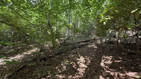Lot 45 Granite Drive Hayesville NC 28904