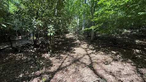 Lot 45 Granite Drive Hayesville NC 28904
