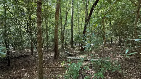 Lot 45 Granite Drive Hayesville NC 28904